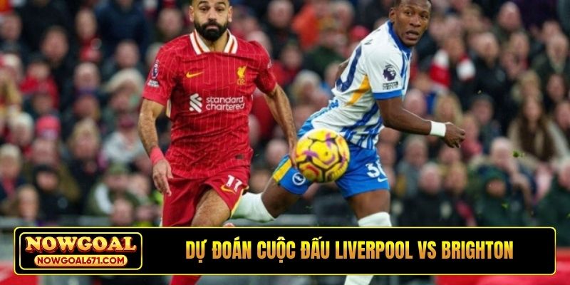 Dự đoán cuộc đấu Liverpool vs Brighton